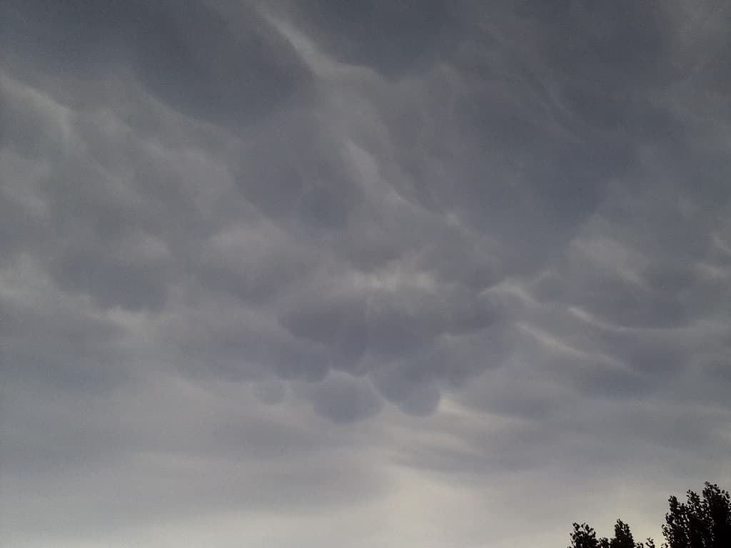 Mammatus