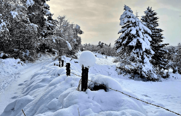 Encore d'abondantes chutes de neige en montagne
