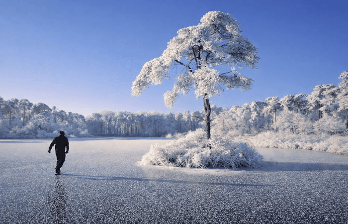 Un retour du froid pour la fin du mois de janvier ?