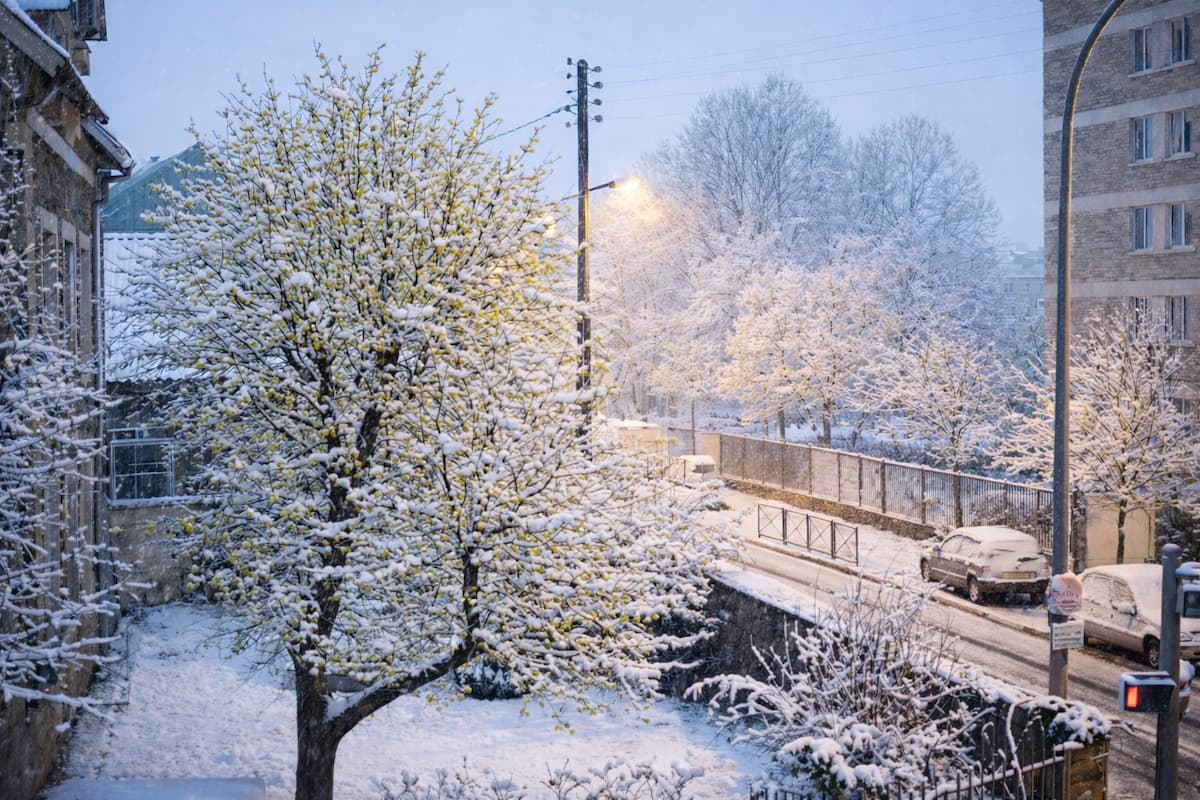 L'hiver va-t-il se venger après cette douceur précoce ?