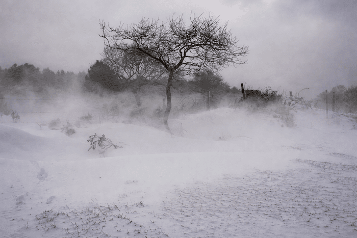La pire vague de froid à l'arrivée du printemps...