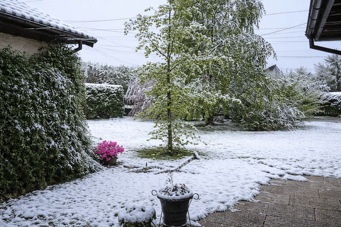 Retour des giboulées de mars et de la neige en plaine !