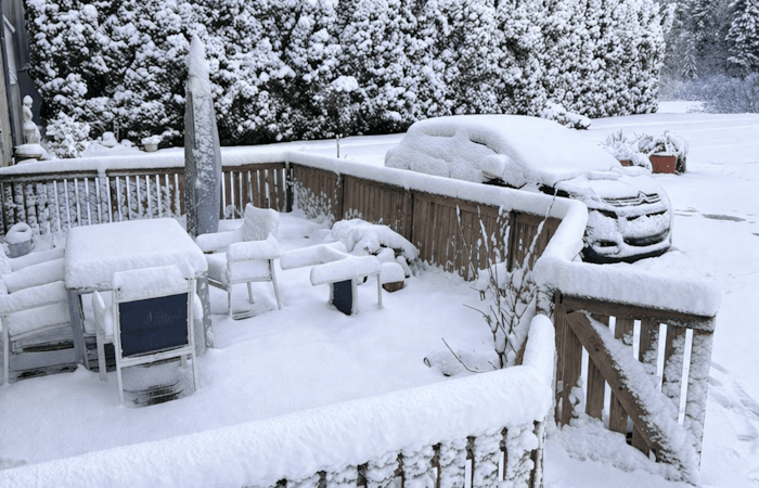 Les images de la neige en plaine et des giboulées
