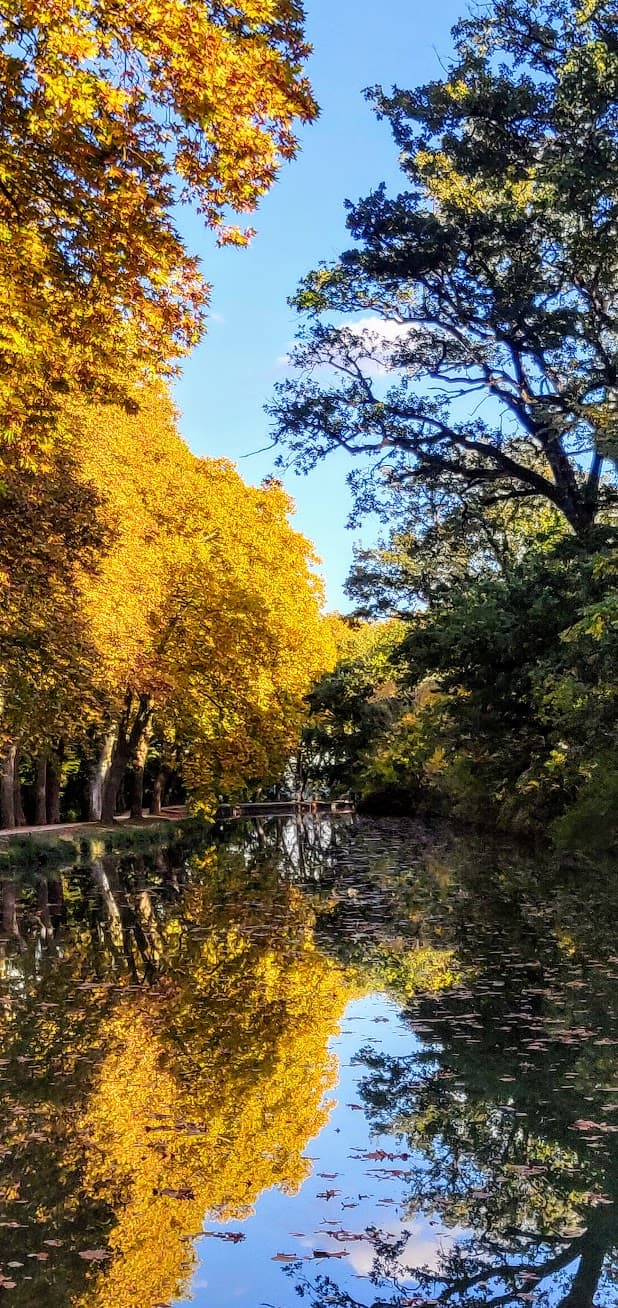 Foliage sur le canal du midi avec un ciel d'octobre completement degagé