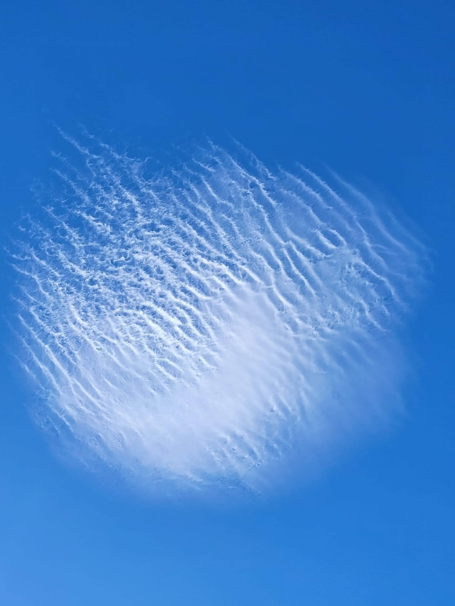 Nuage