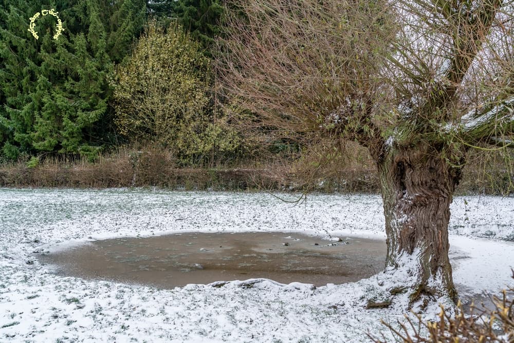 De la glace dans le bocage