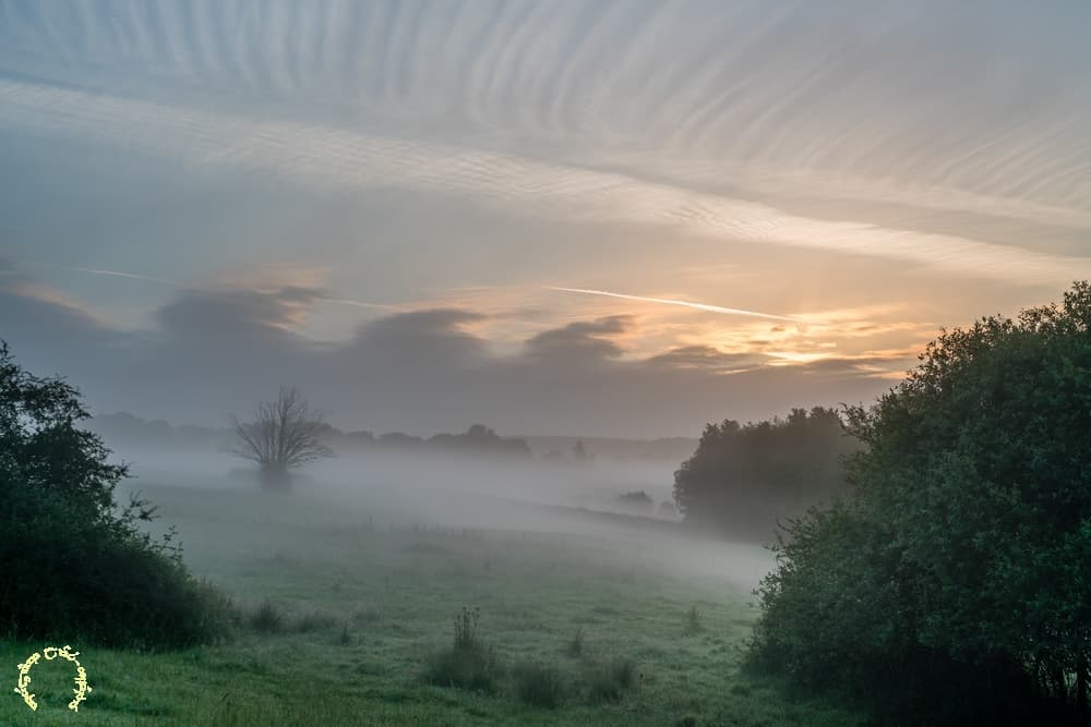 Brume consistante