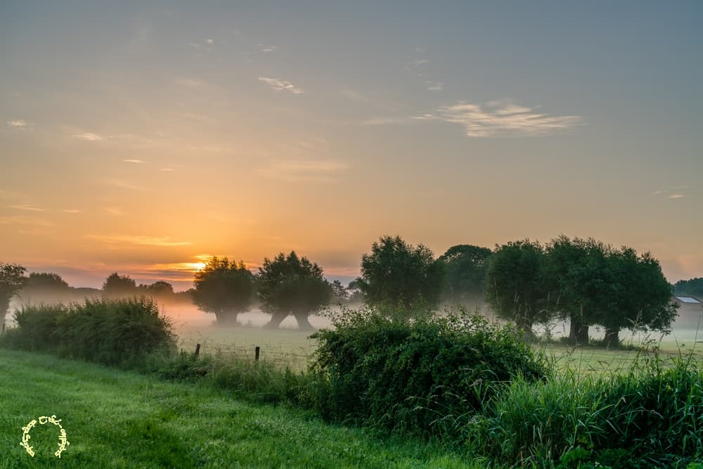 Le bocage peu brumeux