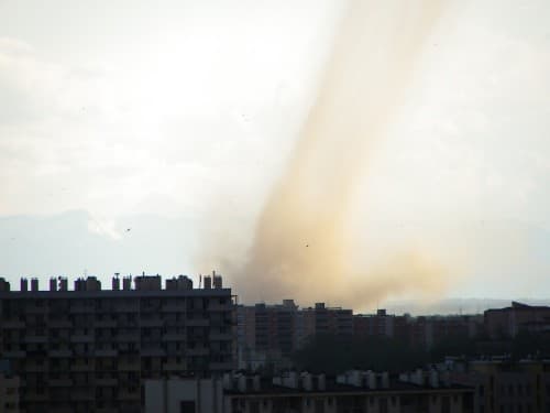 Buisson de la tornade 
