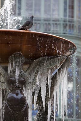 Fontaine de la Trinité