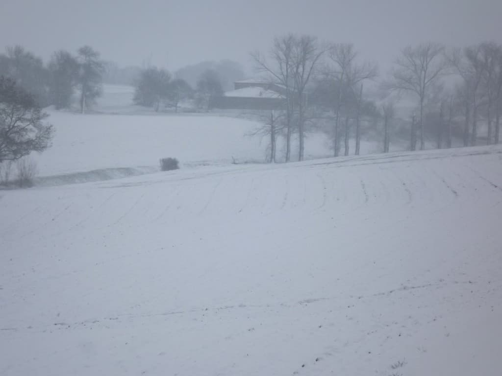 neige sud-ouest