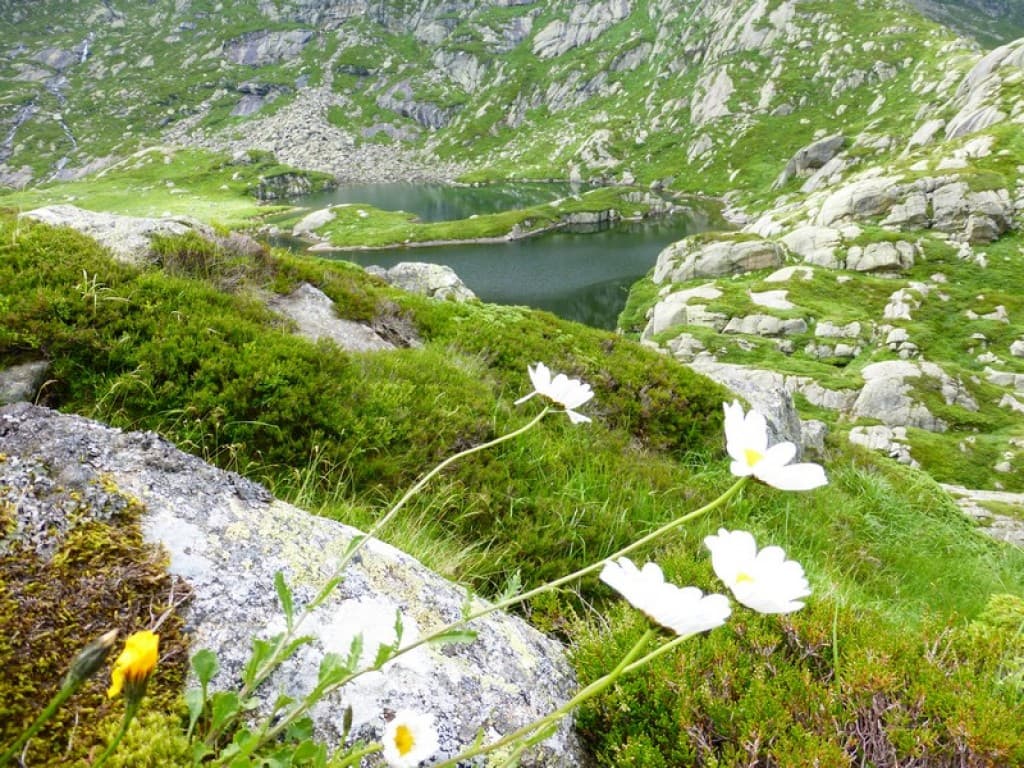 lac de la Hillette