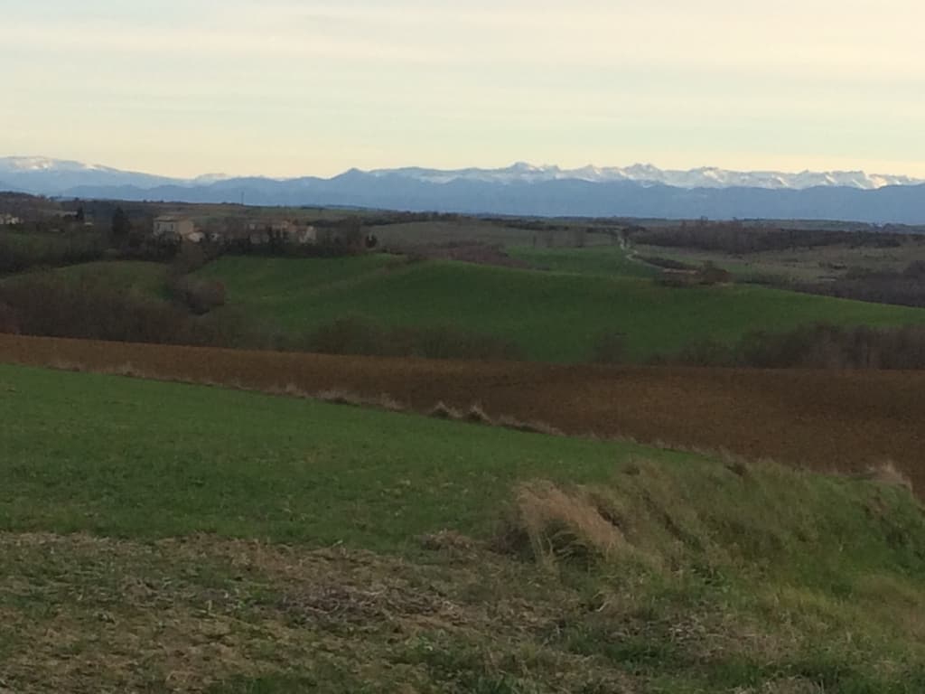Pyrenees