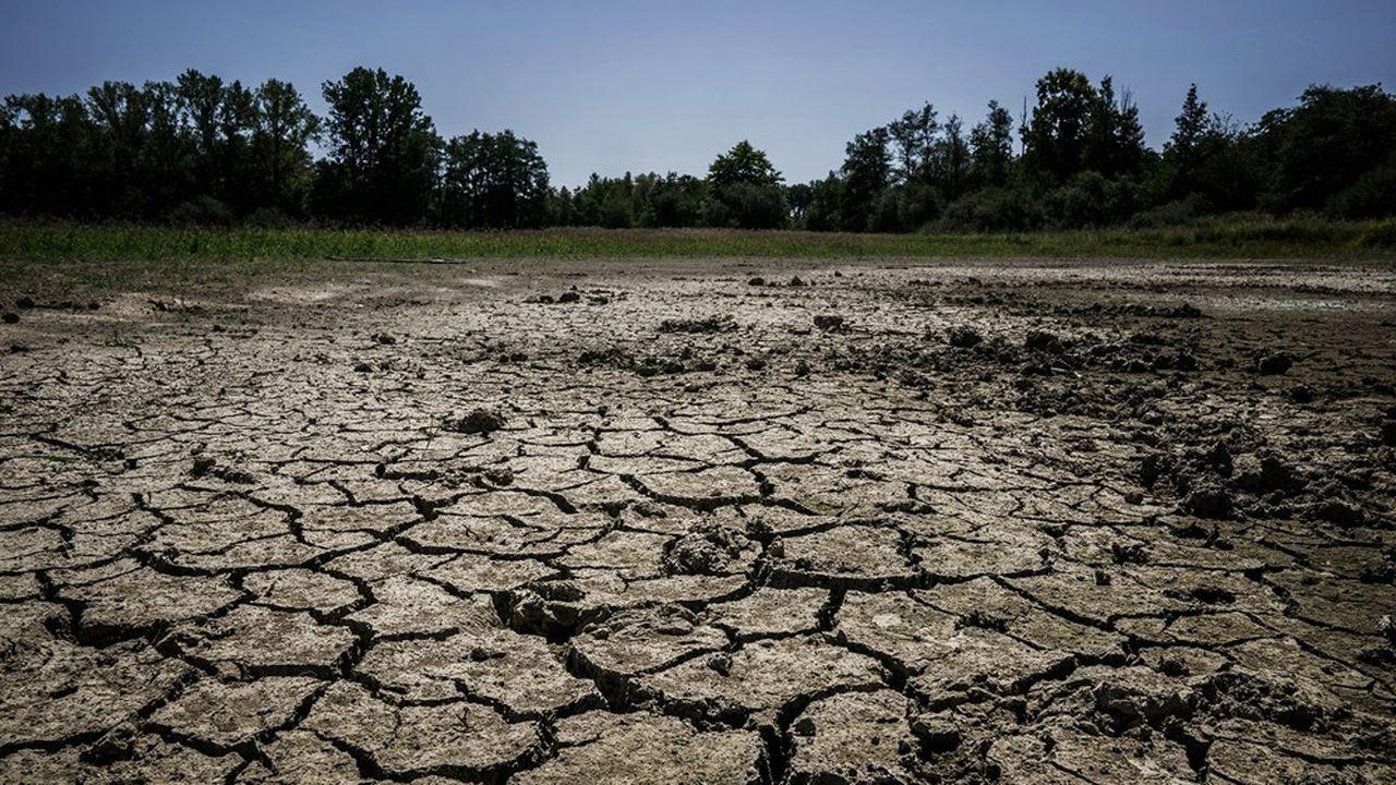 Le point sur la sécheresse en France en cette fin septembre 2023